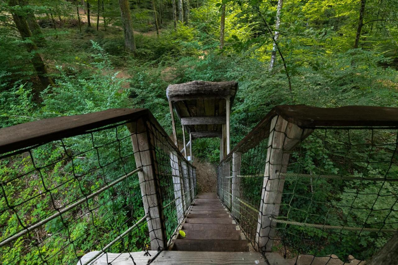 L'Arbre A Cabane Guyonvelle Exterior foto