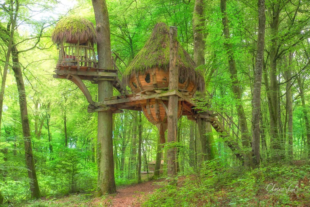 L'Arbre A Cabane Guyonvelle Exterior foto